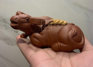 《金錢福?！? title=