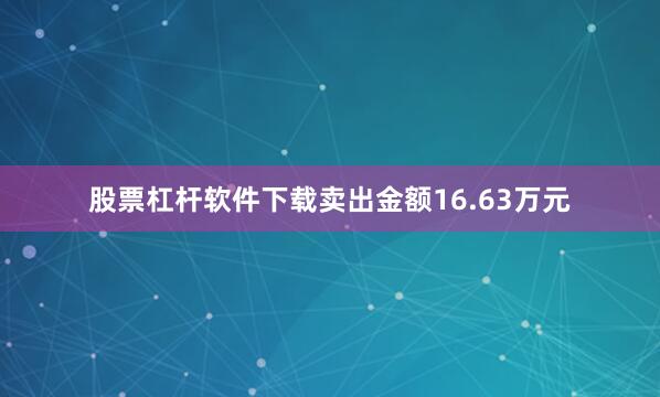 股票杠杆软件下载卖出金额16.63万元