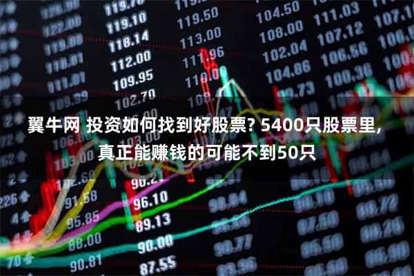 翼牛网 投资如何找到好股票? 5400只股票里, 真正能赚钱的可能不到50只