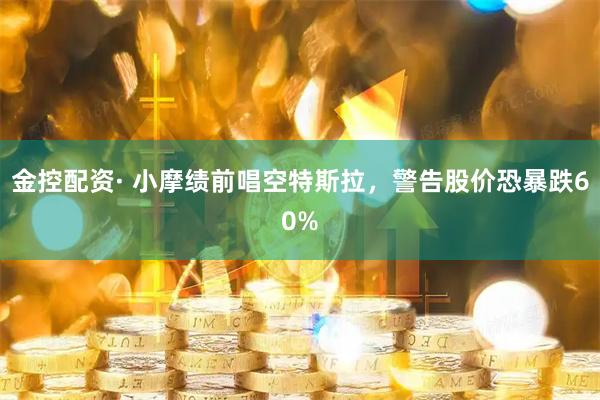 金控配资· 小摩绩前唱空特斯拉，警告股价恐暴跌60%