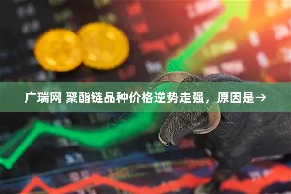 广瑞网 聚酯链品种价格逆势走强,原因是→